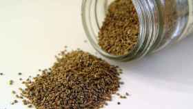 El extracto de semilla de apio puede poseer propiedades anticancerígenas.
