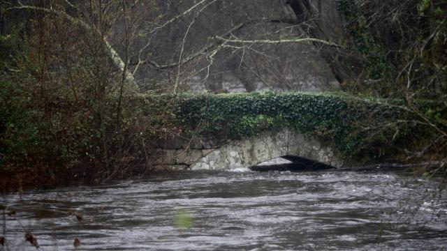 El río Lérez a su paso por Ponte Bora, a 16 de enero de 2023, en Pontevedra