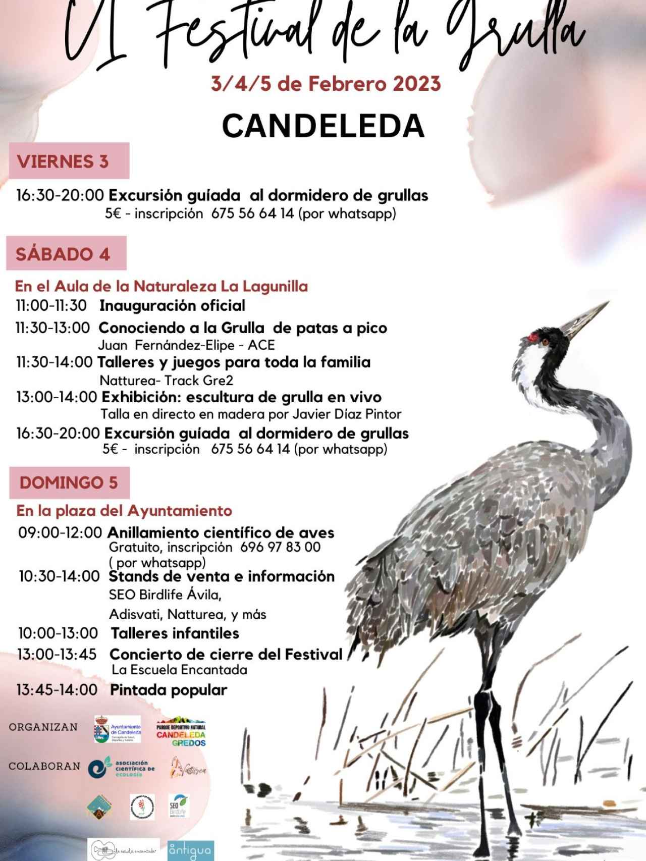 Cartel del Festival de la Grulla de Candeleda.