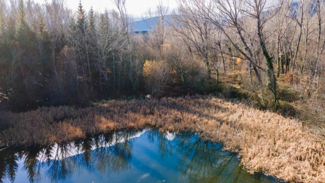 Vista con drones del bosque finlandés, en Rascafría, Madrid.