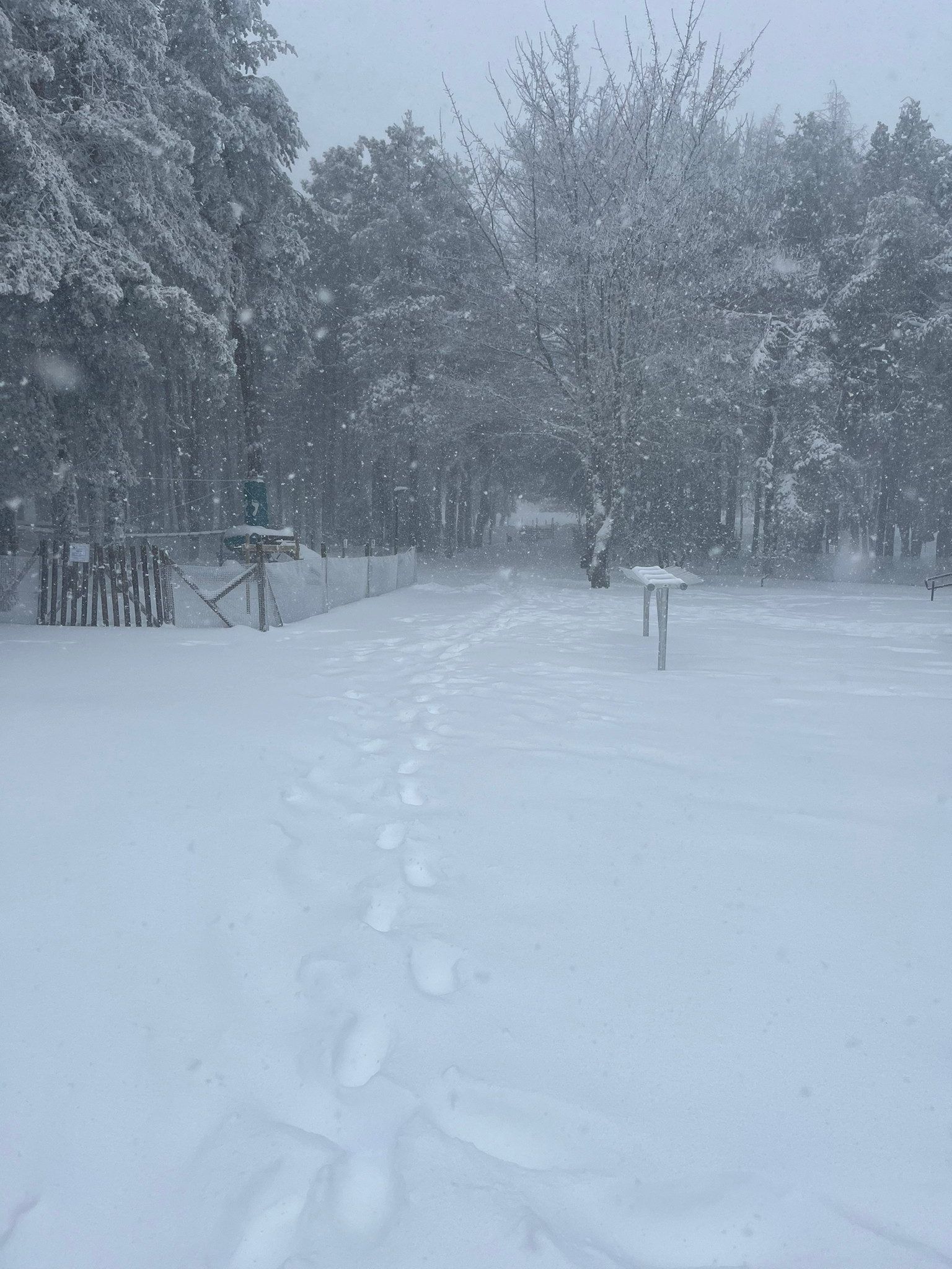 Manzaneda tras la nevada de este martes. Foto: cedida