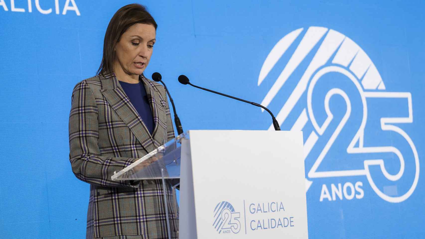 Ana Méndez durante la gala de  celebración del 25 aniversario de Galicia Calidade.