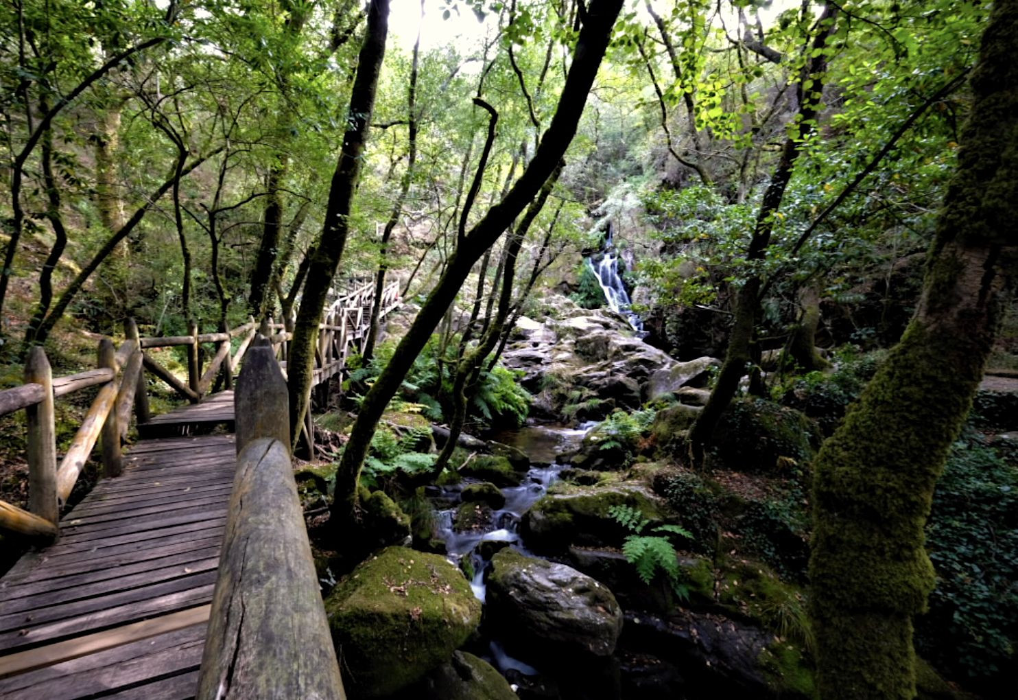 Senda fluvia del Raxoi y Parafita, Valga. Foto: Turismo de Galicia