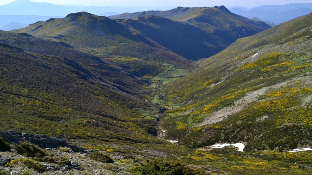 Macizo del Pico del Lobo-Cebollera, en la provincia de Guadalajara. Foto: Turismo CLM.