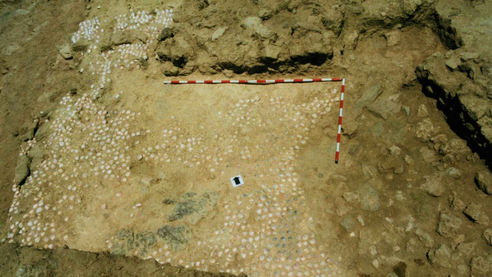 Suelo de conchas (siglo VII-VI a.C.).
