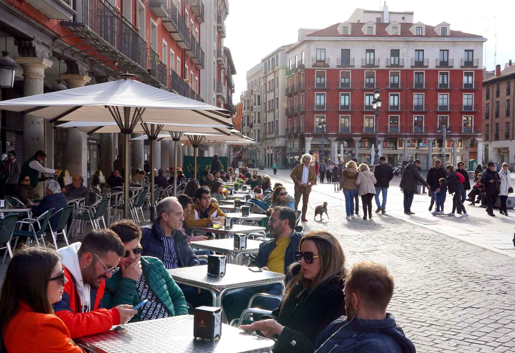 Personas en las terrazas de la Plaza Mayor de Valladolid