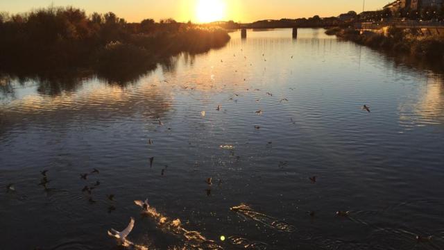 El río Tajo a su paso por Talavera de la Reina