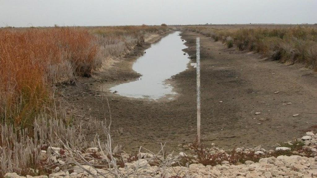 Foto: Asociación Ojos del Guadiana Vivos.