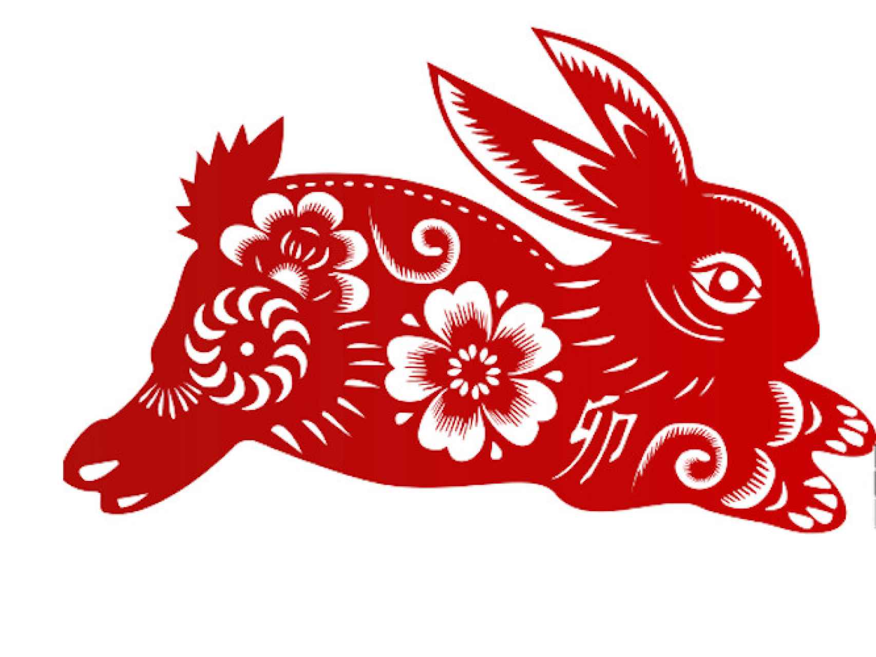 El conejo chino.
