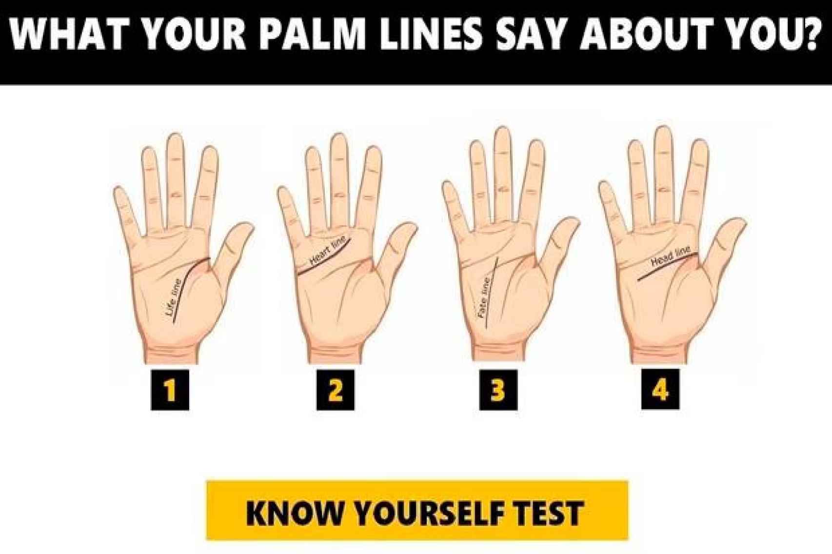 Test visual: esto es lo que la forma de tus manos revela sobre tu personalidad.