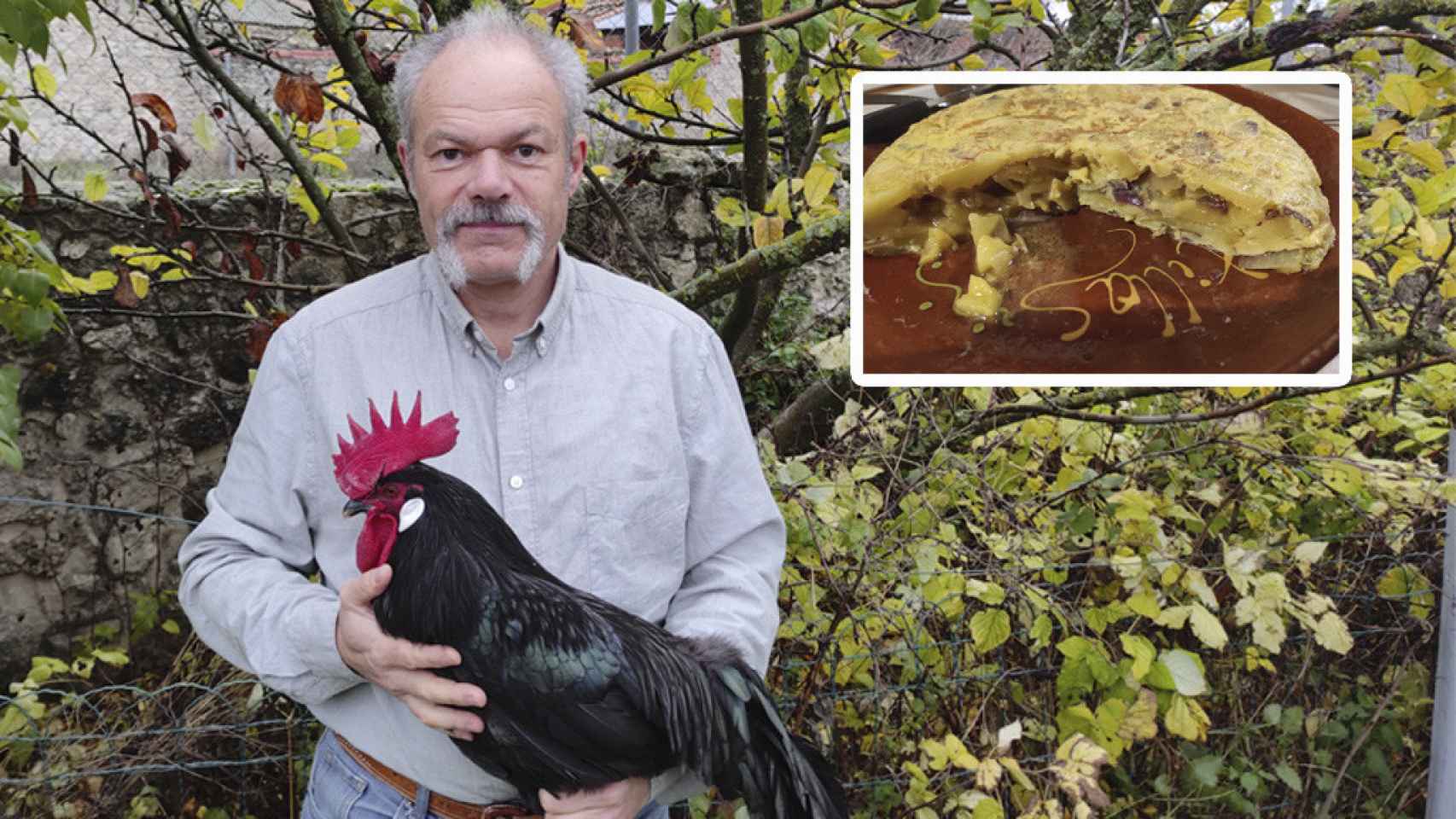 José Luis Yustos, un gallo de castellana negra y una tortilla