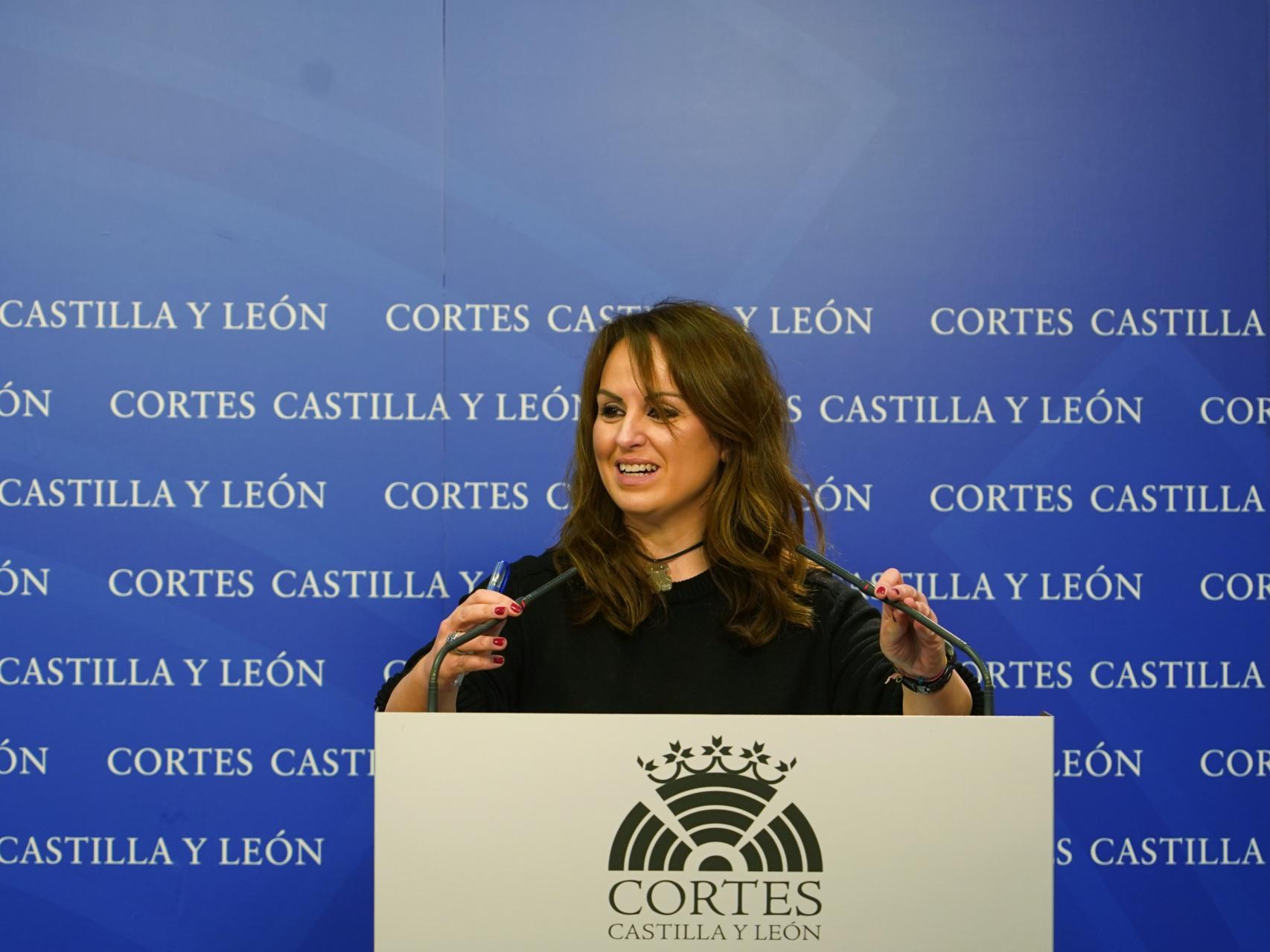 La viceportavoz socialista, Patricia Gómez Urbán, durante su rueda de prensa de este viernes en las Cortes.