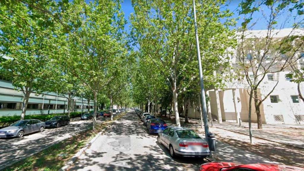 Estado actual de la avenida Camilo José Cela de Ciudad Real.