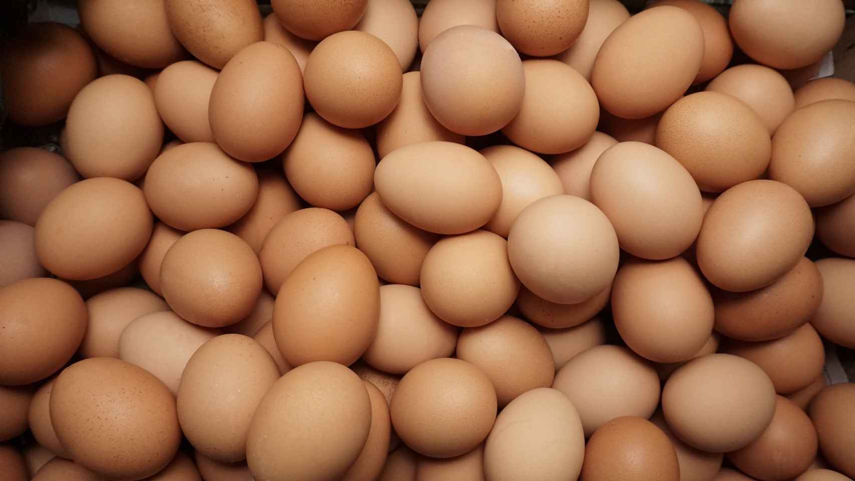 Cómo saber si un huevo está fresco - Cocina y Vino