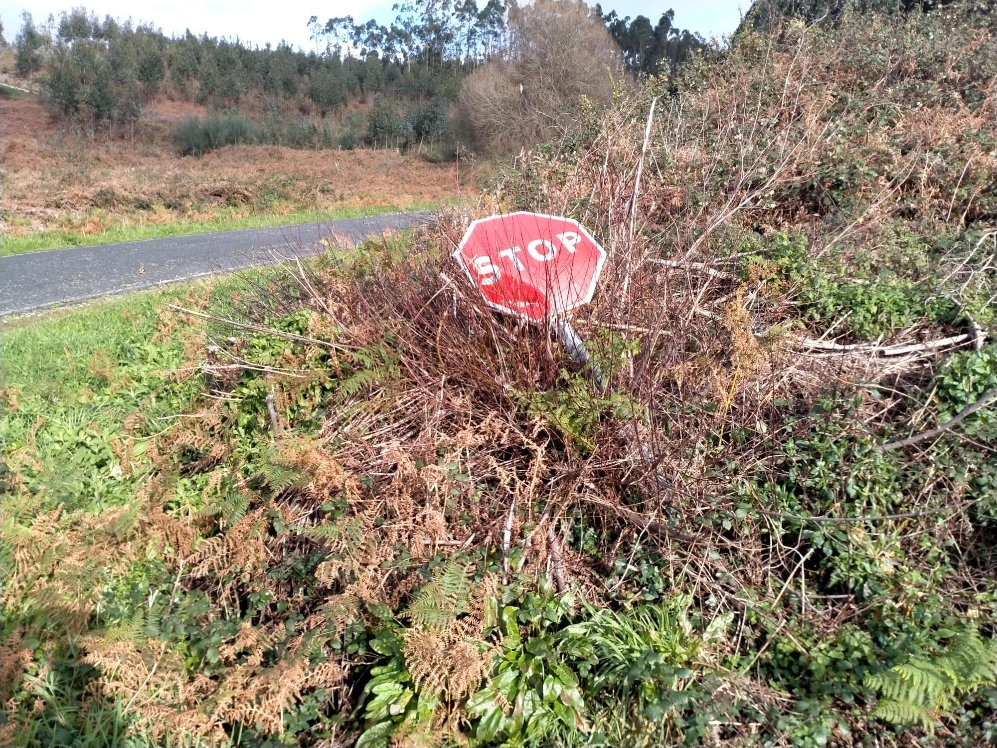 Señal caída en la carretera de Esmelle a Covas. Imagen: PP de Ferrol