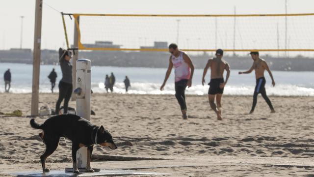 La playa de la Malvarrosa el pasado domingo.