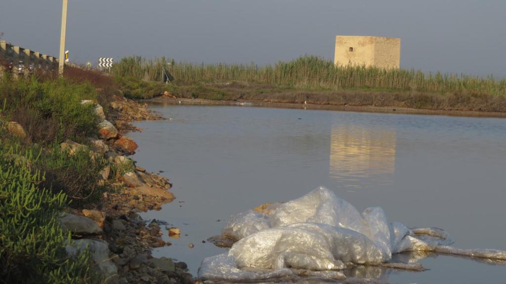 Basura en la orilla de las salinas santapoleras.