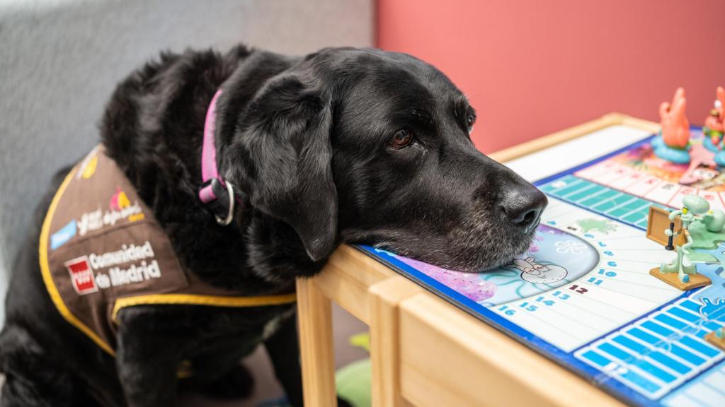 Eika sobre el parchís de Bob Esponja.