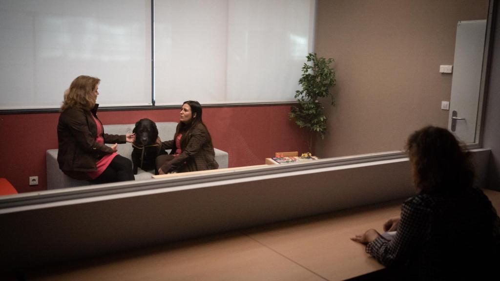 Desde el interior de la sala contigua el juez puede guiar y visualizar el interrogatorio.