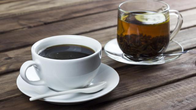 Café, té o infusiones