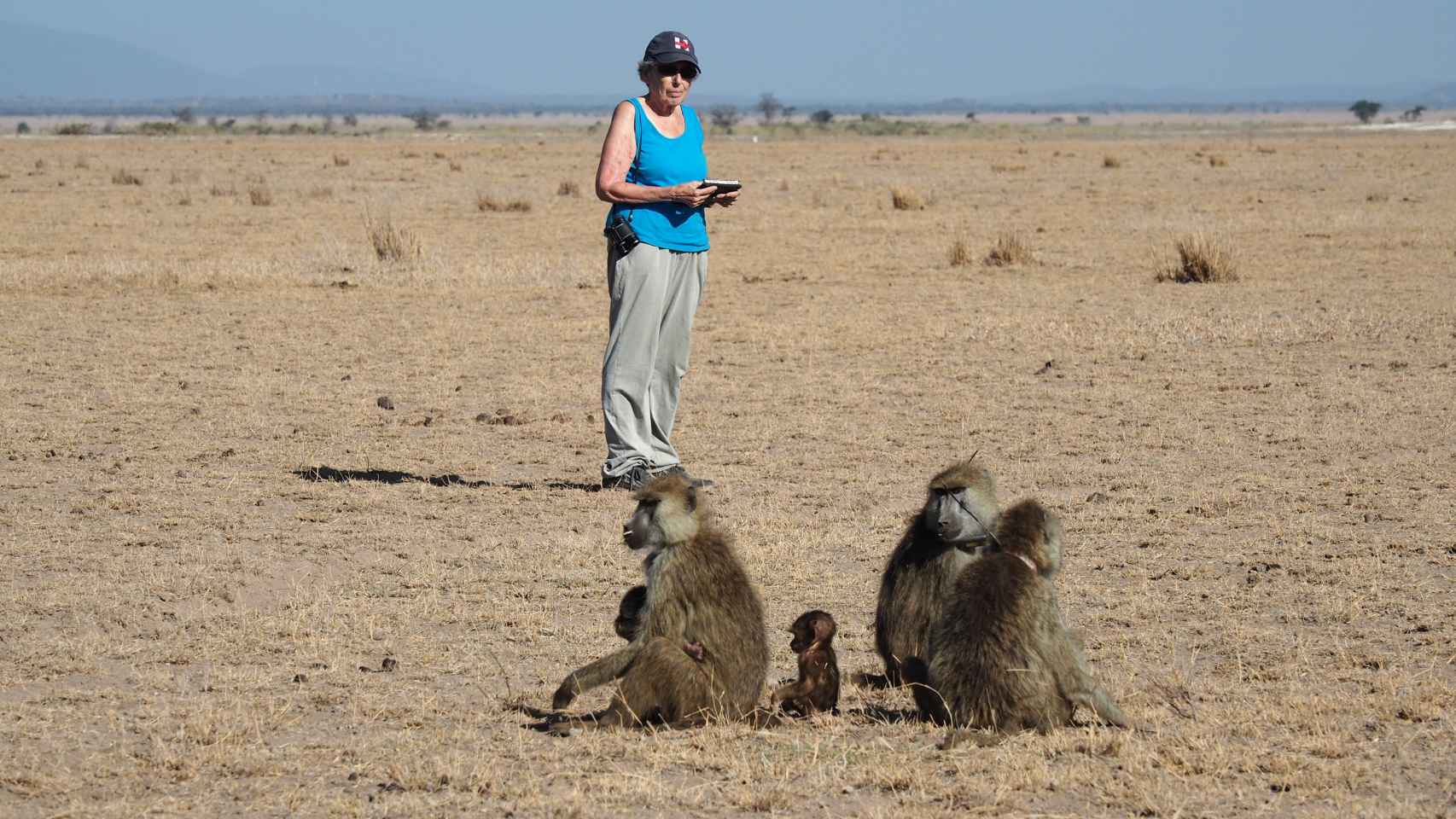 La investigadora Jeanne Altmann junto a los babuinos del Parque Nacional de Amboseli.