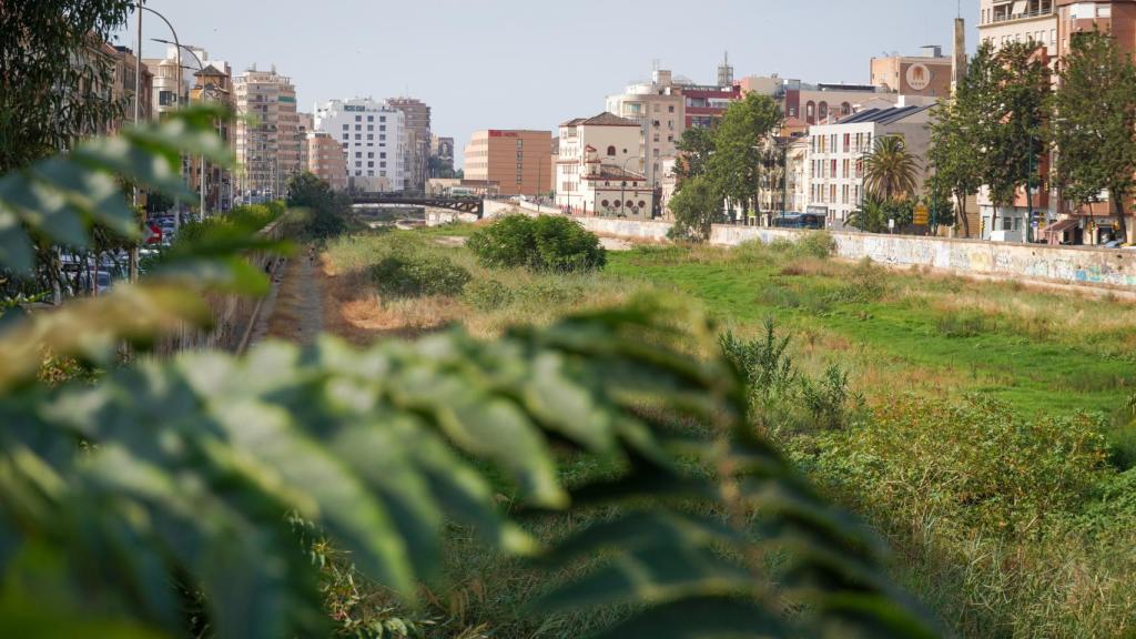 Interior del cauce del Guadalmedina.