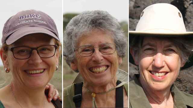 Susan Alberts, Jeanne Altman y Marlene Zuk, Premio Fronteras en Ecología y Biología de la Conservación.