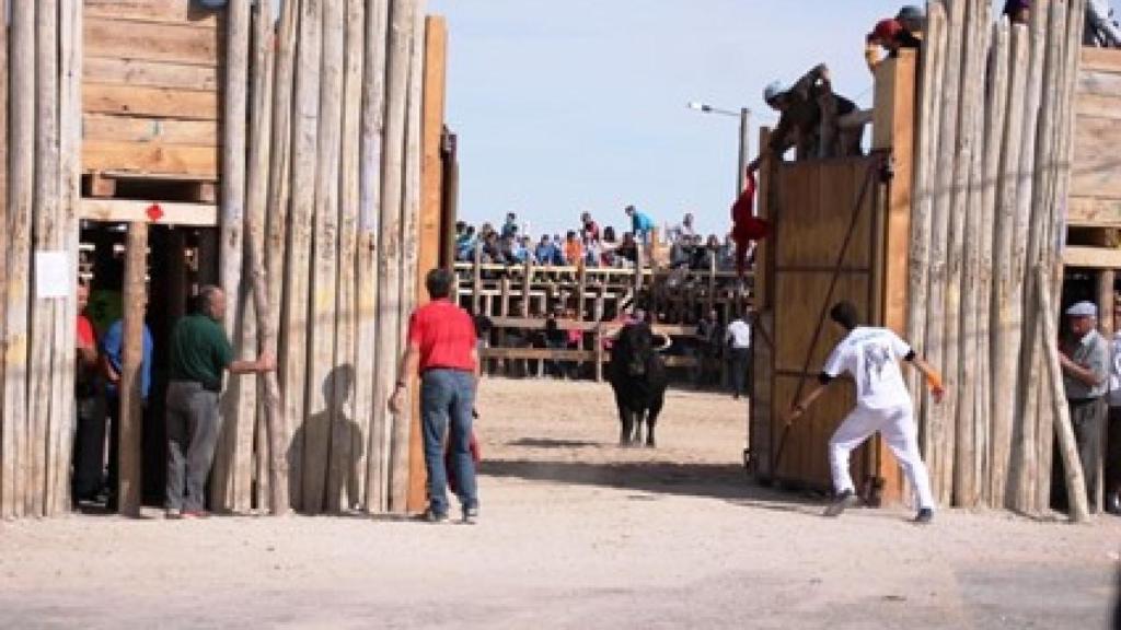 La plaza de palos de Montemayor en plena “Función de la Cruz” (La Empalizada)