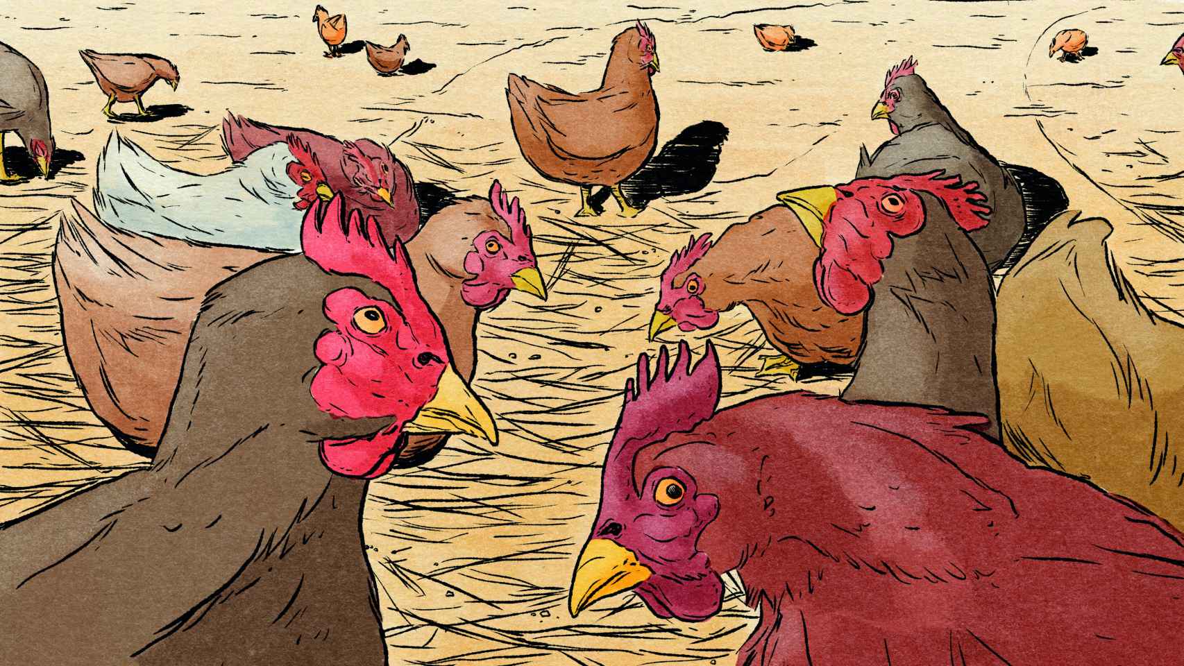 Ilustración de 'El gallinero', el cuento de Aixa de la Cruz