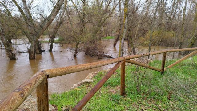 Río Jarama desde la ribera.