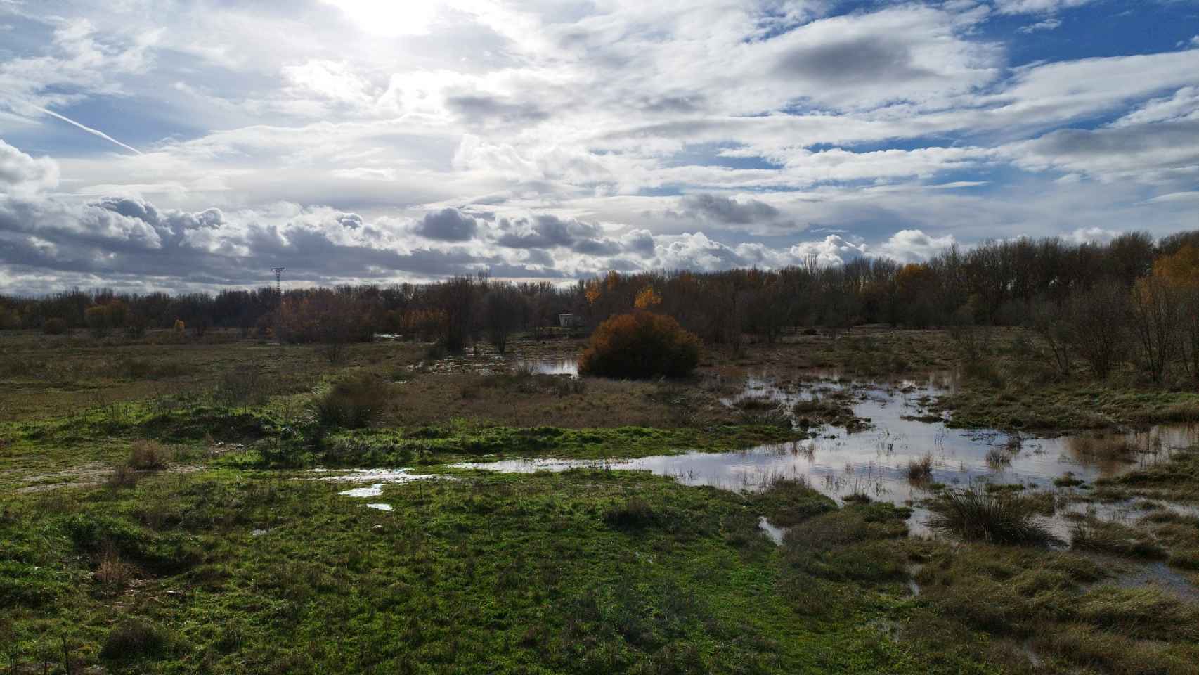 Laguna estacional recuperada en la cuenca del Jarama, en Madrid.