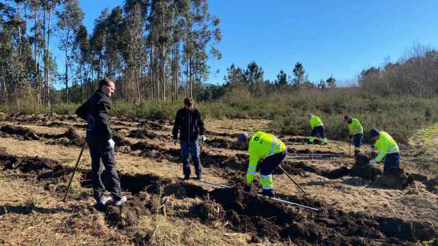 Plantación del programa de Ecoembes y la Xunta de Galicia.