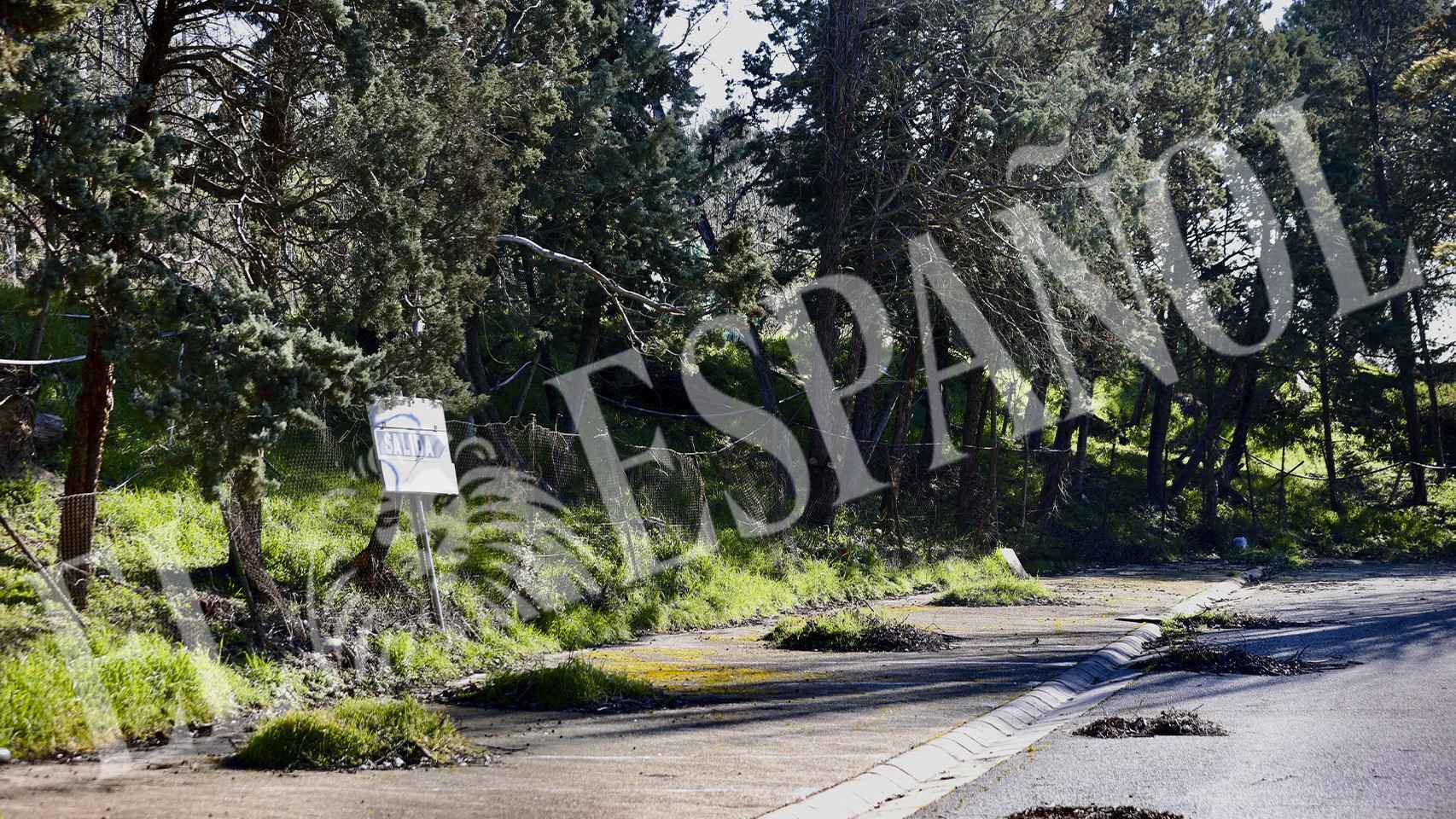 Este es el estado actual de la carretera principal que da acceso al club de tenis de Manolo Santana en Las Lomas.