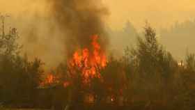 Bomberos forestales y expertos de Castilla-La Mancha colaboran en la extinción del fuego en Chile