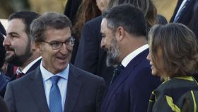 Alberto Núñez Feijóo y Santiago Abascal, en un reciente acto oficial. Reuters