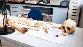 Restos óseos esparcidos en una de las mesas del área de Antropología del Instituto de Medicina Legal de Madrid.
