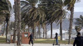 Málaga registra el mayor número de avisos a causa del viento.