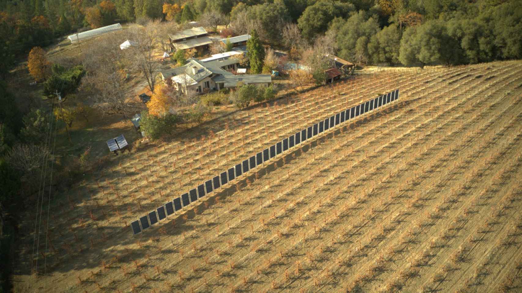 Paneles solares verticales viñedos