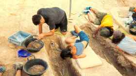 El Marq gestiona la excavación en seis yacimientos arqueológicos de Alicante, como este de Ifach.