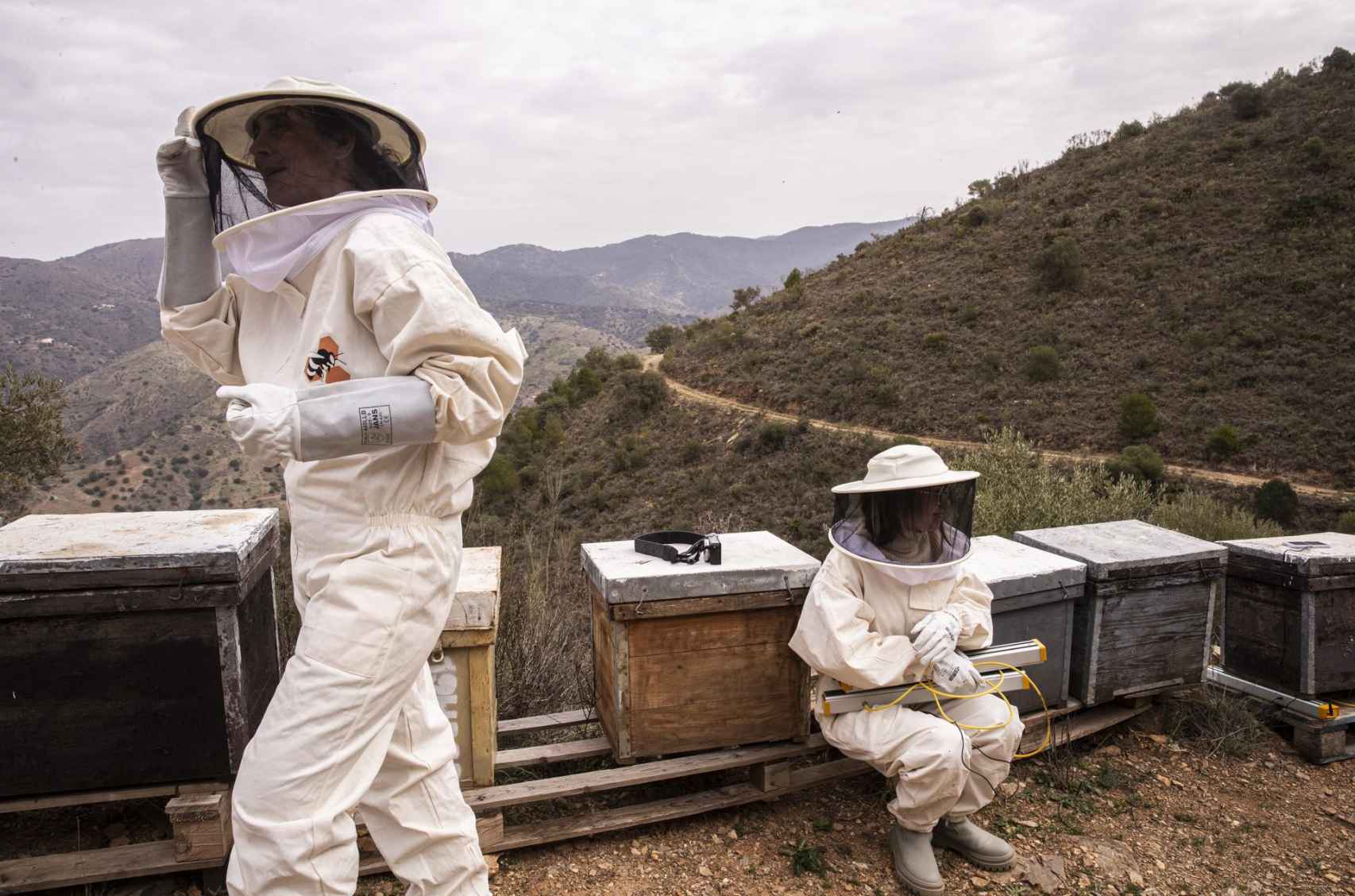 La presidenta de la Asociación del Rincón de la Abeja, Paloma Vecino, y una compañera trabajan en los paneles de abejas en la finca apícola Joseíllo.