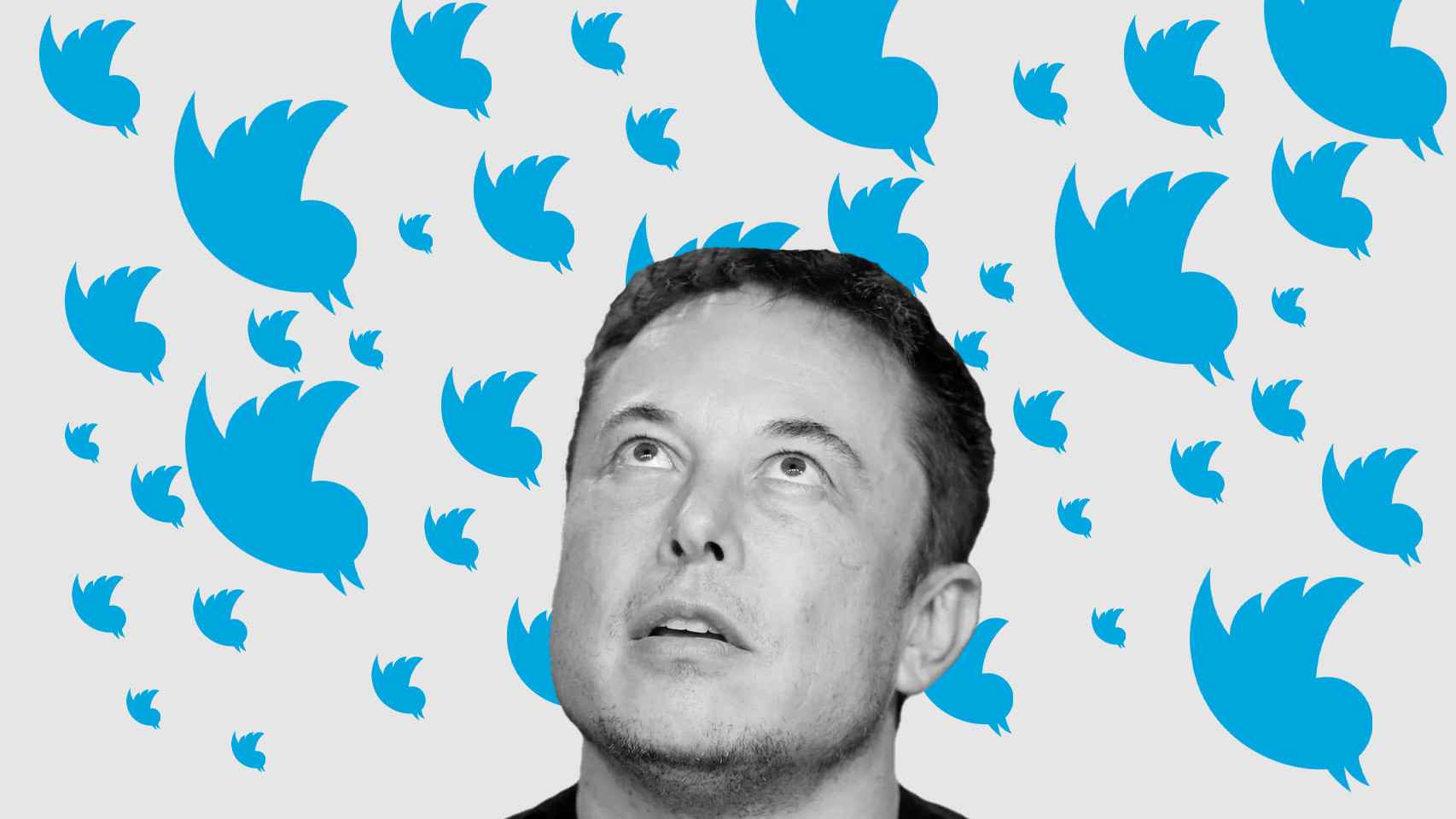 Fotomontaje con la cara de Musk y logos de Twitter cayendo.