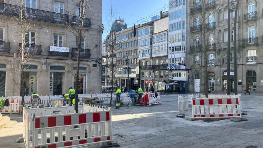 Los árboles han vuelto a la plaza de la Princesa.