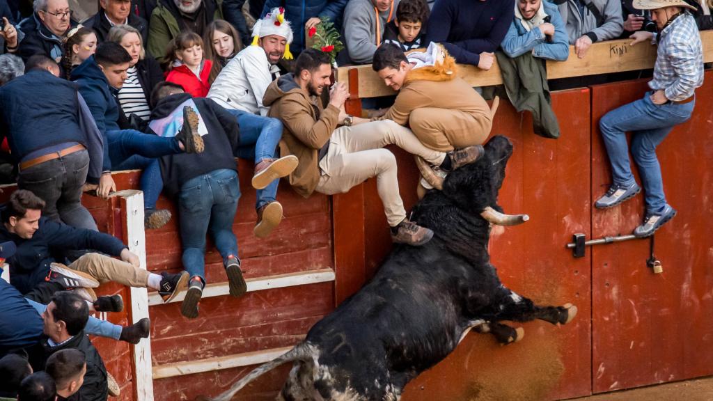 Fuerte embestida del toro contra los mozos en tablas