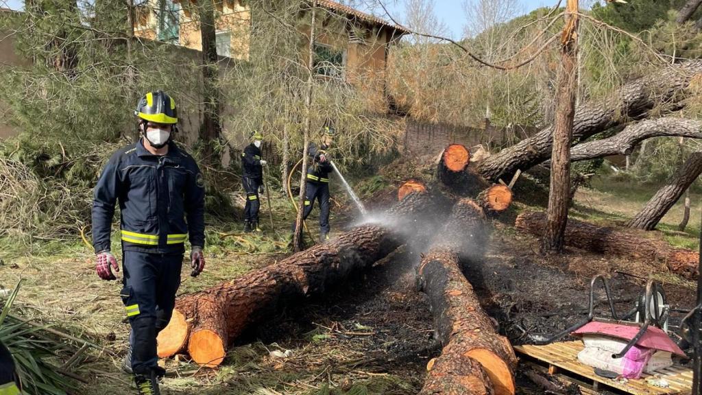 Imagen de los restos de poda incendiados.