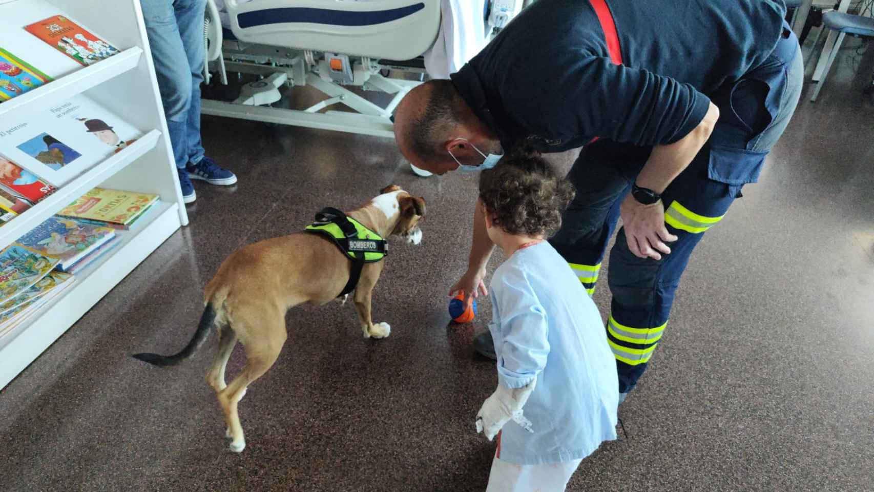 La perra Piña en su visita al Hospital de Alicante.
