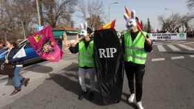 Dos participantes en la manifestación de Toledo, con máscaras de conejo y un ataud.