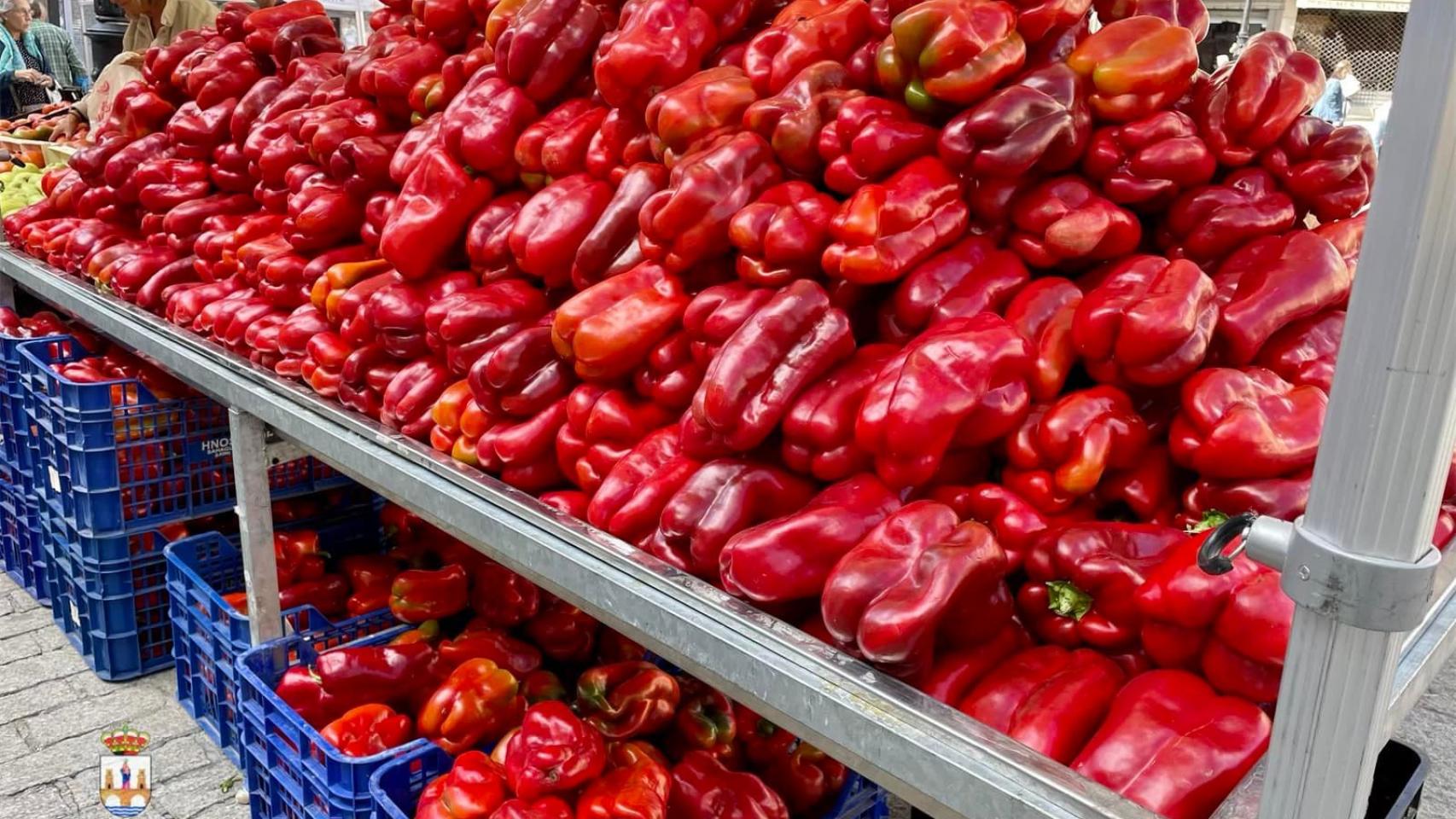 Feria del pimiento en Benavente