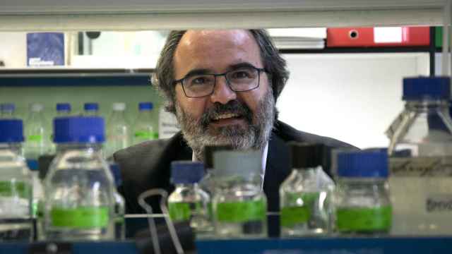 Lluís Montoliu, en su laboratorio del Ciber de Enfermdades Raras.