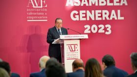 Vicente Boluda, presidente de AVE, durante la asamblea de 2023. EE