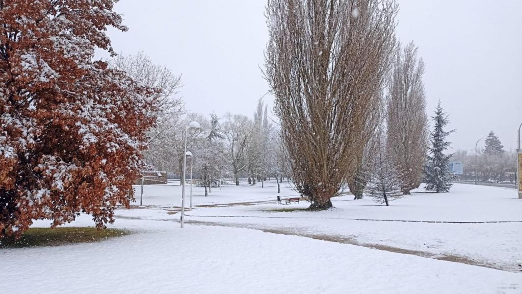 La nieve ya cuaja en Salamanca.